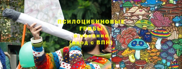 сатива Бородино
