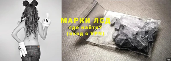 сатива Бородино