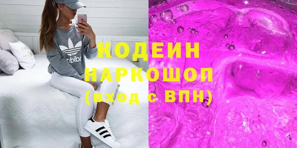 сатива Бородино