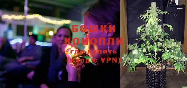 сатива Бородино