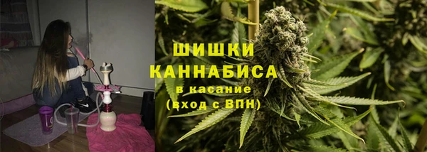 СК Богородск