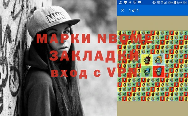 сатива Бородино