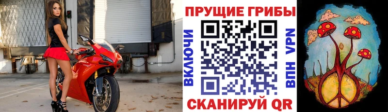 Псилоцибиновые грибы MAGIC MUSHROOMS  Волчанск 
