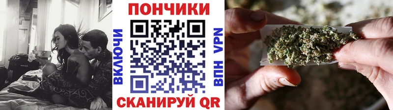 где найти   Волчанск  Бошки марихуана Amnesia 